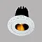 Micro-Prismatic Downlight